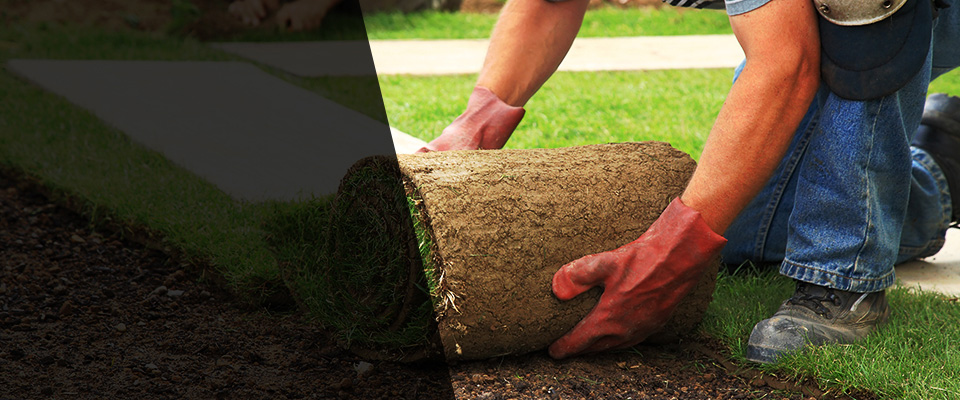 Maiden Landscapers